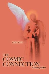 bokomslag The Cosmic Connection