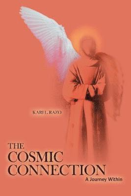 bokomslag Cosmic Connection