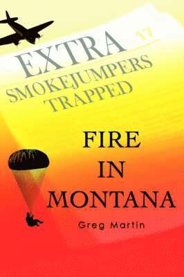 Fire In Montana 1