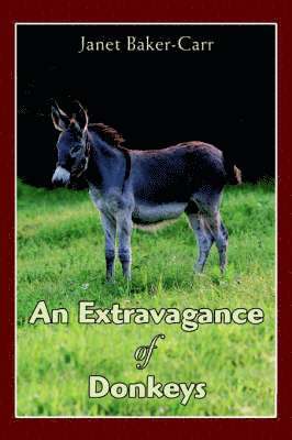 An Extravagance of Donkeys 1