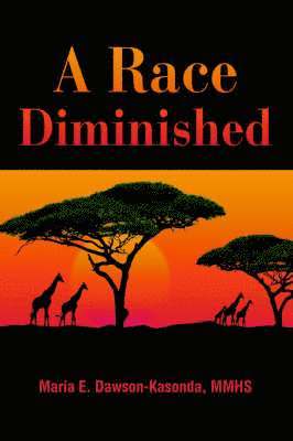 bokomslag Race Diminished