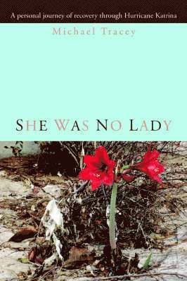 Michael Tracey - She was no Lady, Häftad