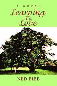 bokomslag Learning To Love