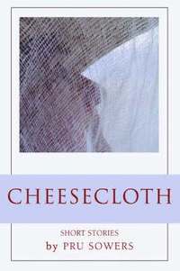 bokomslag Cheesecloth