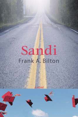 bokomslag Sandi