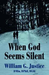 bokomslag When God Seems Silent