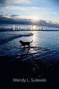 bokomslag Lost Love