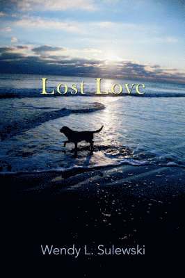 Lost Love 1