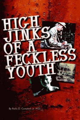 bokomslag High Jinks of a Feckless Youth