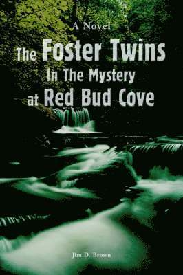 Foster Twins In The Mystery at Red Bud Cove
