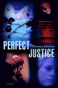 bokomslag Perfect Justice