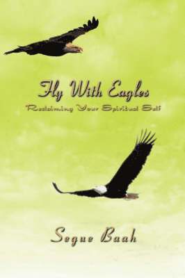 bokomslag Fly With Eagles