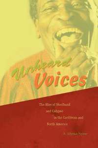 bokomslag Unheard Voices