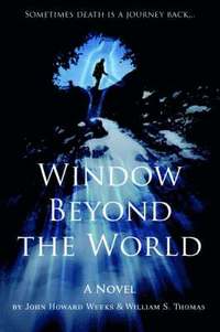 bokomslag Window Beyond the World