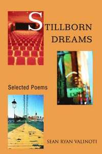 bokomslag Stillborn Dreams