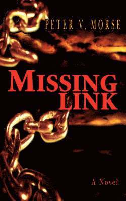 bokomslag Missing Link