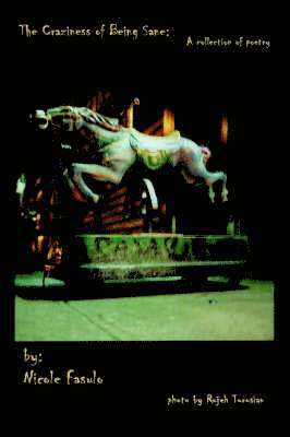 Nicole Fasulo - Craziness of Being Sane, Häftad