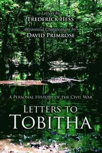 bokomslag Letters to Tobitha