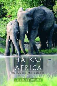 bokomslag Haiku Africa