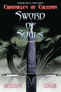 bokomslag Sword of Souls