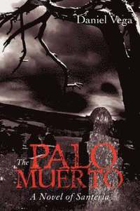 bokomslag Palo Muerto