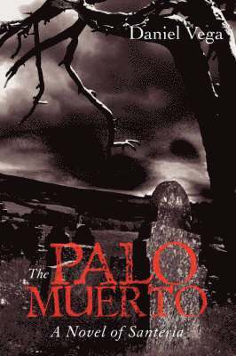 The Palo Muerto 1