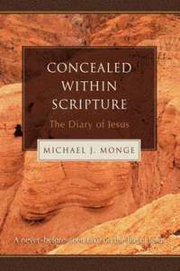 bokomslag Concealed within Scripture