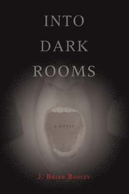 bokomslag Into Dark Rooms