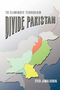 bokomslag Divide Pakistan