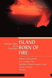 bokomslag Island Born of Fire