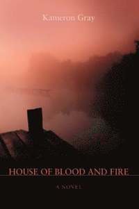bokomslag House of Blood and Fire