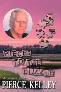 bokomslag Pieces to the Puzzle