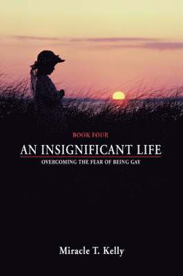 An Insignificant Life 1