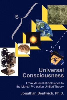 bokomslag Universal Consciousness