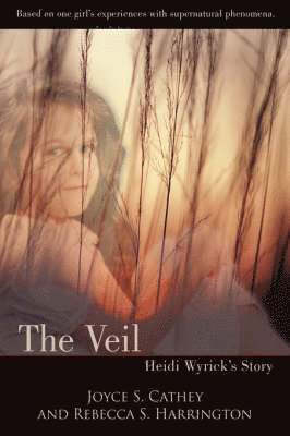 bokomslag Veil