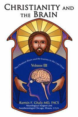 bokomslag Christianity and the Brain