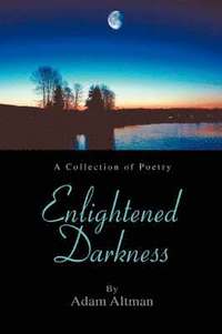 bokomslag Enlightened Darkness