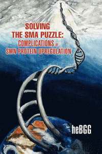 bokomslag Solving the SMA Puzzle