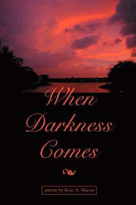 bokomslag When Darkness Comes