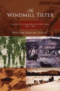 bokomslag The Windmill Tilter