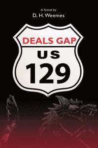 bokomslag Deals Gap