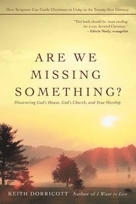 Keith Dorricott - Are We Missing Something?, Häftad
