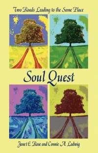 bokomslag Soul Quest
