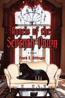 bokomslag Angels of the Seventh Dawn
