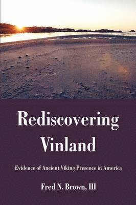 bokomslag Rediscovering Vinland