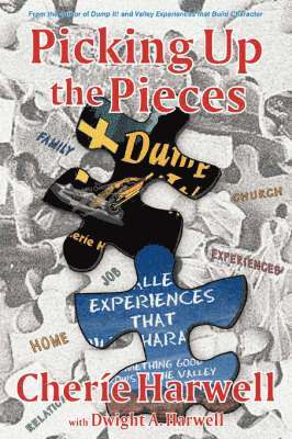 Picking up The Pieces 1