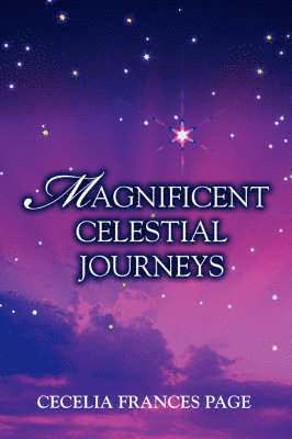 bokomslag Magnificent Celestial Journeys