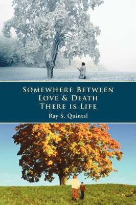 bokomslag Somewhere Between Love & Death There is Life