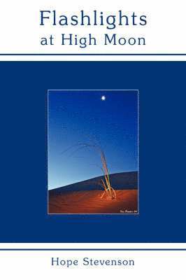 Hope Stevenson - Flashlights at High Moon, Häftad