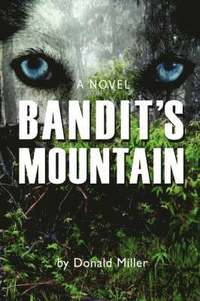 bokomslag Bandit's Mountain